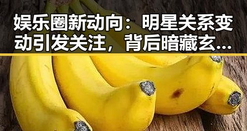 娱乐圈新动向：明星关系变动引发关注，背后暗藏玄机？