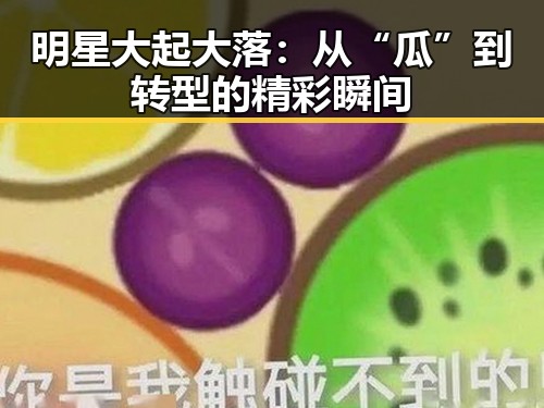 明星大起大落：从“瓜”到转型的精彩瞬间