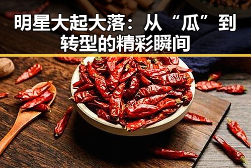 明星大起大落：从“瓜”到转型的精彩瞬间