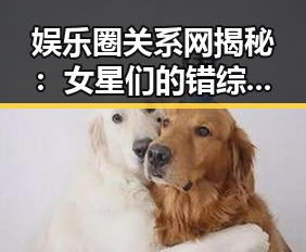 娱乐圈关系网揭秘：女星们的错综复杂的情感纠葛